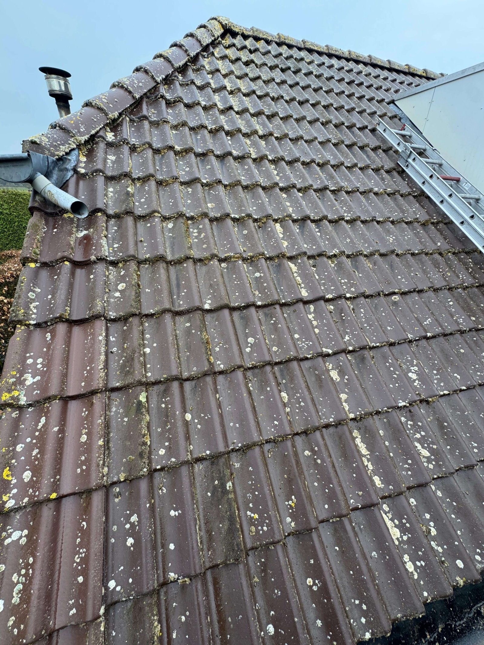 Dakreiniging (2)