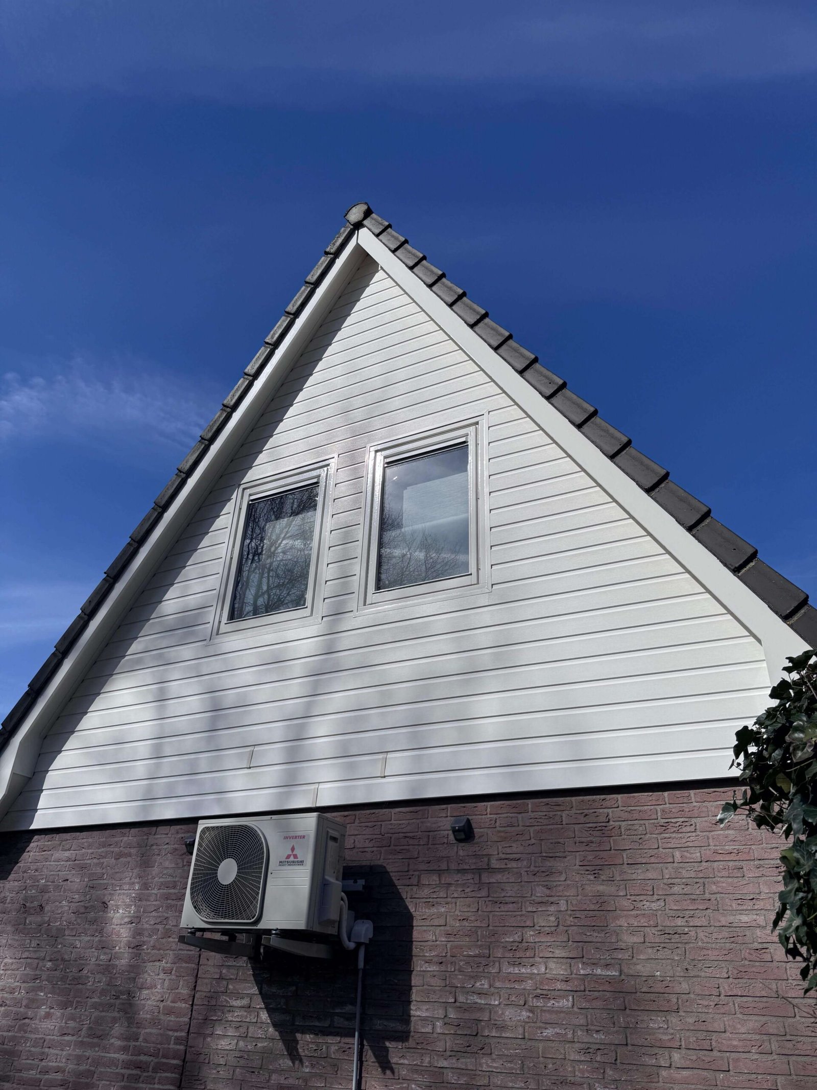 Dakreiniging (7)